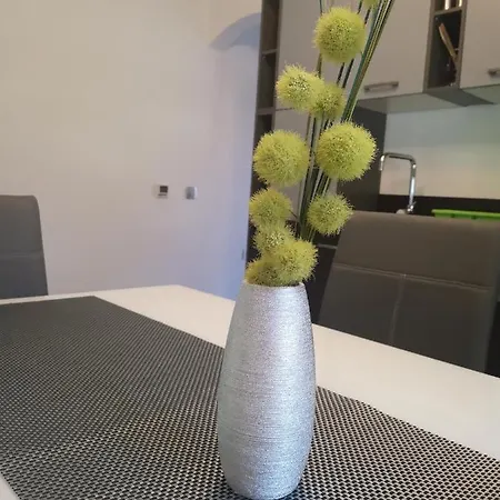 Daire App Vanja 6170 *