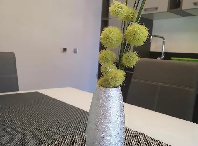 شقة App Vanja 6170 *